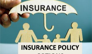 Insurance policy options